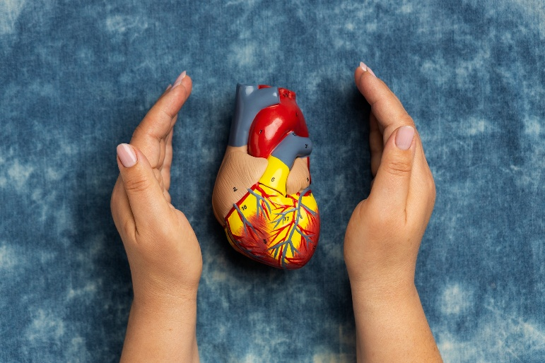 Essential Healthcare for Managing Congenital Heart Defects