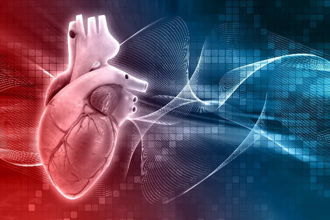 The Role of Parents and Caregivers in Supporting Children with Congenital Heart Defects